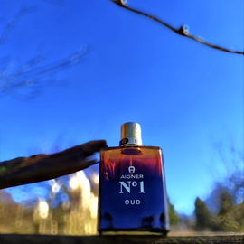 Aigner N°1 Oud - Aigner