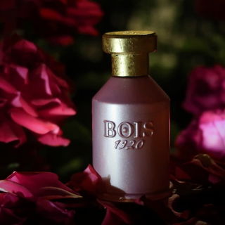 Notturno Fiorentino - Bois 1920