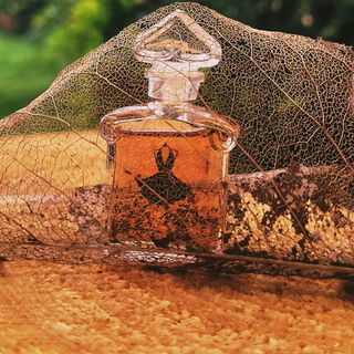 La Petite Robe Noire (Eau de Parfum Intense) - Guerlain