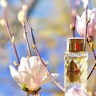 Place Vendôme (Eau de Parfum) by Boucheron
