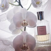 Die Verlobung. Ganz lieben Dank euch. 🤗😘 (von Gandix)