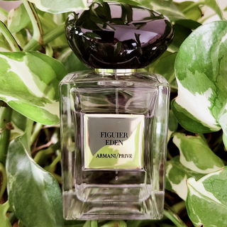 Armani Privé - Figuier Eden von Giorgio Armani