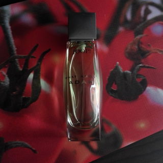 What About Adam (Eau de Toilette) von Joop!