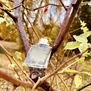 Le Roy Soleil Homme (Eau de Toilette) by Salvador Dali