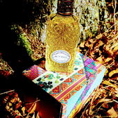 Paisley Patch (von FrauKirsche)