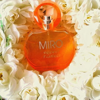 Pretty Flamingo - Miro