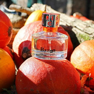 Bazar von Christian Lacroix