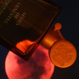 Cierge de Lune von Aedes de Venustas