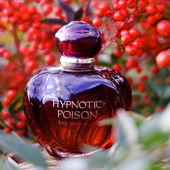 Schön und verführerisch, der Duft und die Vogelbeeren, giftig nur bei Überdosierung:)). Liebsten Dank für die lieben Kommentare und Auszeichnungen. (by Zora)