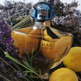 Shalimar Philtre de Parfum von Guerlain