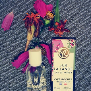 Sur la Lande (Eau de Parfum) - Yves Rocher