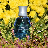 Der Hei in der Heide. Ich wünsche euch ein sonniges Wochenende!🌞 (by NorthLight)