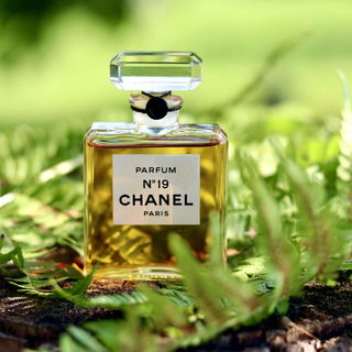 N°19 (Parfum) by Chanel