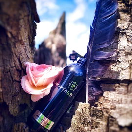 Aoud Lime - Montale