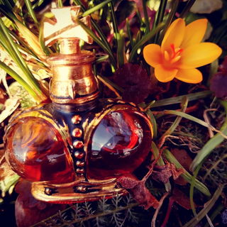 Miniatur. Ein paar ganz reelle Fruhlingsgrüße