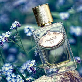 Infusion d'Iris Absolue - Prada