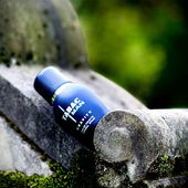 …📷🌍 Thank you. Danke schön. Merci beaucoup. Muchas gracias. Dōmo arigatō gozaimasu 💐… (by Kokusai)