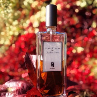 Ambre sultan (Eau de Parfum) - Serge Lutens