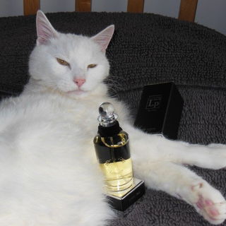 LP No.9 for Men von Penhaligon's
