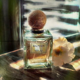 Ambre Gris - Balmain