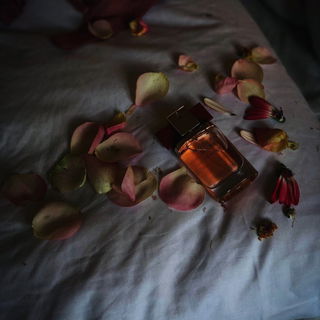 Modern Muse Le Rouge by Estēe Lauder