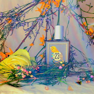 The Cobra & The Canary von Imaginary Authors