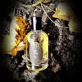 Double Patchouli / Patchouli Indonésien - Phaedon