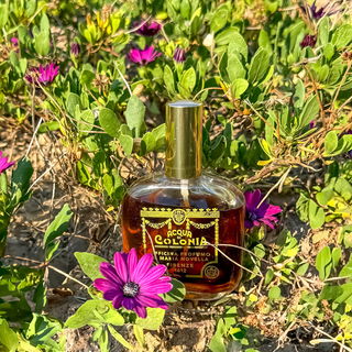 Peau d'Espagne by Santa Maria Novella