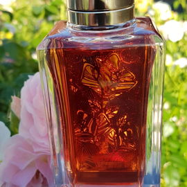 Rôses Berberanza - Lancôme