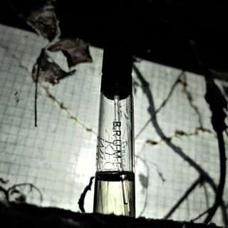 Waschküchenfenster zur Wiese