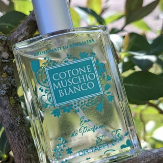 Cotone Muschio Bianco - Dr. Taffi