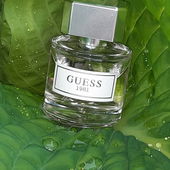 ...Grünes Rätsel... (by Kailani)