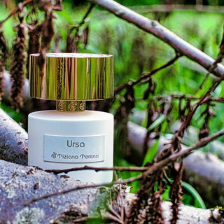 Ursa - Tiziana Terenzi