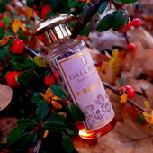 Mal eben auf dem Weg zum Sonntagsbäcker... überall am Wegesrand findet man Schönes... das Fotografieren schärft die Sinne für Details, für Licht und Stimmungen 👀 (von MonAmour)