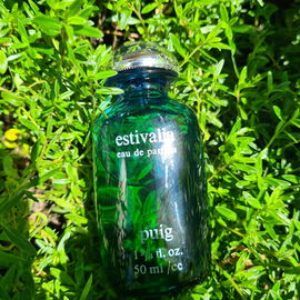 🩵💙💚 frische Estivalia  💚💙🩵