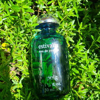 🩵💙💚 frische Estivalia  💚💙🩵