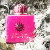 Ein Weihnachtsspaziergang im Schnee (von Gandix)