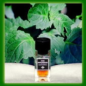 Durch parfumo hab ich gelernt, dass Patchouly eine Pflanze ist. (von Florblanca)