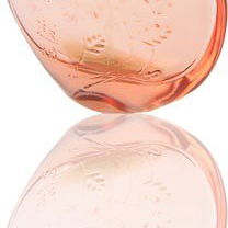 Xi'a Xi'ang (Cologne) - Revlon