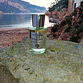 Colonia Assoluta ( Eau de Toilette ) - Acqua Di Parma