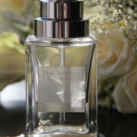 Sublime Balkiss - The Different Company