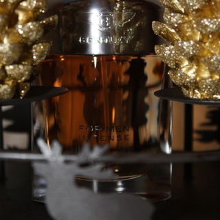 Bentley for Men Intense by Bentley