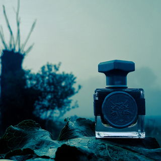 Próba Traw (2020) - The Elegance of... Scent