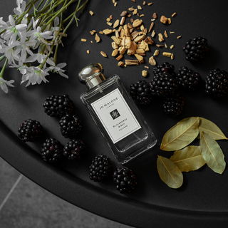 Blackberry & Bay (Cologne) - Jo Malone
