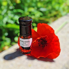 Steig aus.Klimatisierte Räume waren gestern. Atme : Dschungel-Tee-Nesseln.Minzen. Rauche : Spinatwurzeln.Petrichorgrün.Maroke Bitterhölzer.🎈 Neuer Mohn.Neues Jahr.DANKESCHÖN ☺️