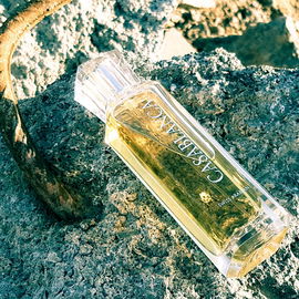 Casablanca (Eau de Parfum) - Swiss Arabian
