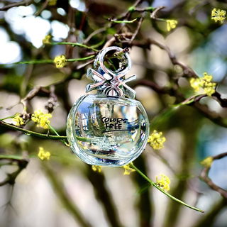 Colors Free de Benetton for Her