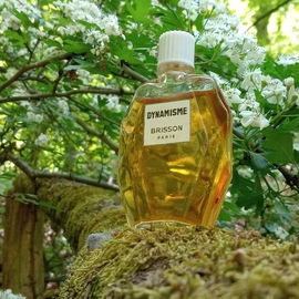 ein ganz besonderer Chypre-Duft-Traum