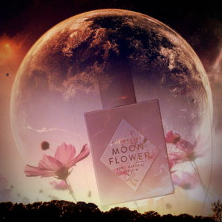 Moon Flower - Nature Blossom