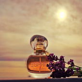 ☀️🌥 Wintersonne ☀️🌥Herzlichen Dank für Eure schönen Kommentare 🥰 (von MadameLegras)